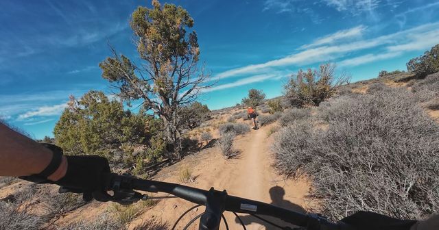 Mtb